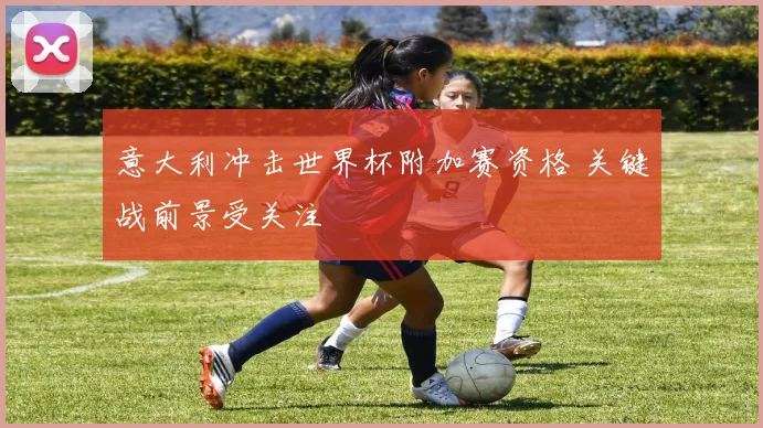 意大利冲击世界杯附加赛资格 关键战前景受关注