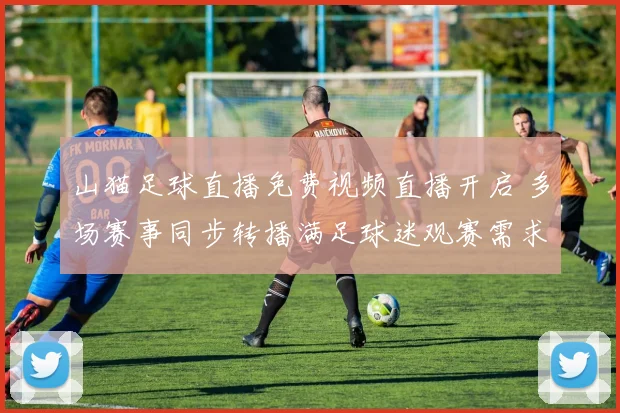 山猫足球直播免费视频直播开启 多场赛事同步转播满足球迷观赛需求