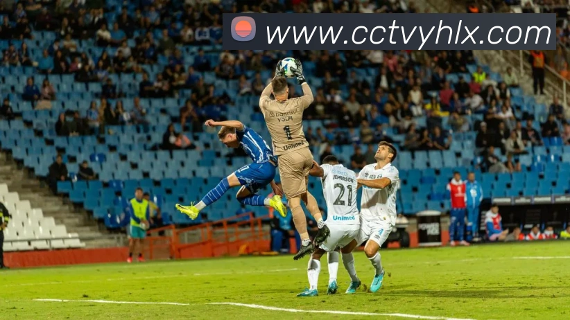 九游电子娱乐入口发展历程